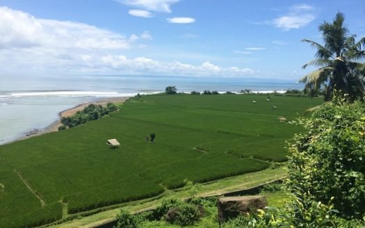 Exclusive Ocean View Freehold Land for Sale – Medewi, Bali