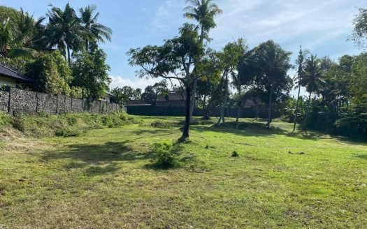 Exclusive Ocean View Freehold Land for Sale – Medewi, Bali