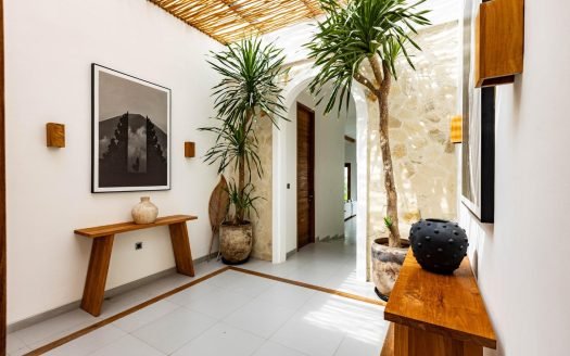 Luxury 3-Bedroom Leasehold Villa for Sale – Padonan, Bali