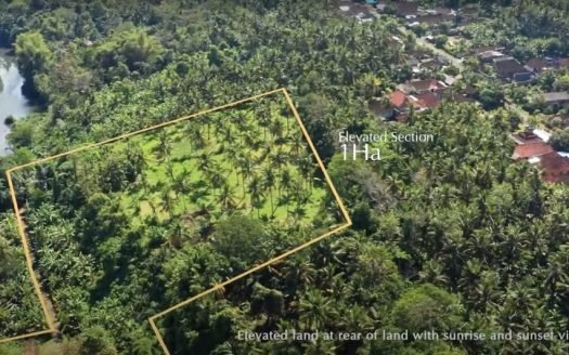 Prime Freehold Beachfront Land for Sale – Medewi, Bali