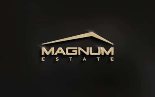Developer Image